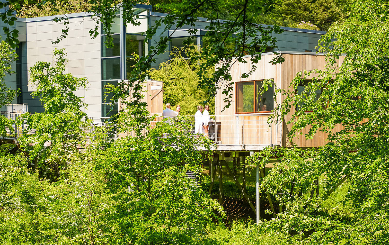 En sauna bygget på et plateau omgivet af grønne træer