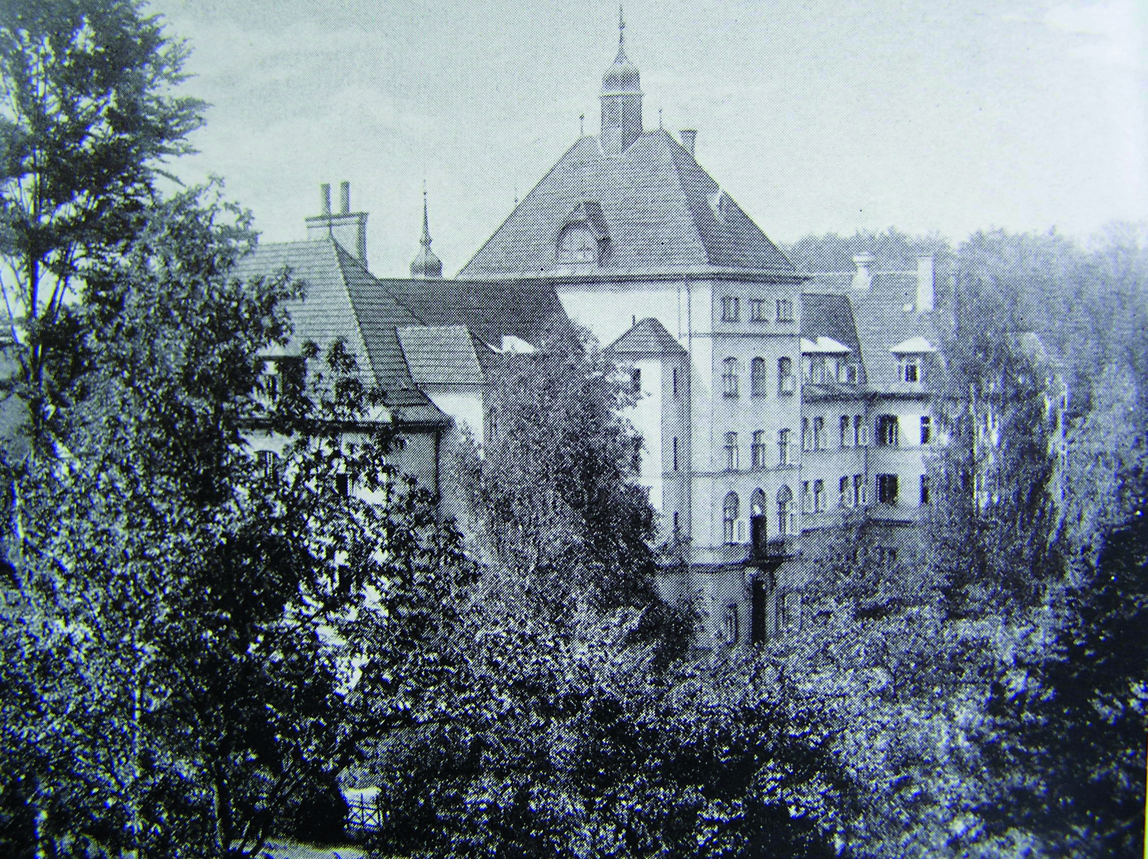 Vejlefjord fra Sanatorievej