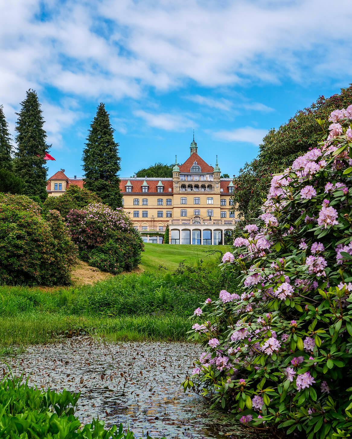 Hotel Vejlefjord med udsprugne rhododendroner og søen en sommerdag